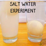 SALT WATER EXPERIMENT