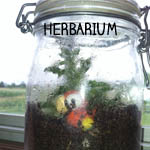 HERBARIUM