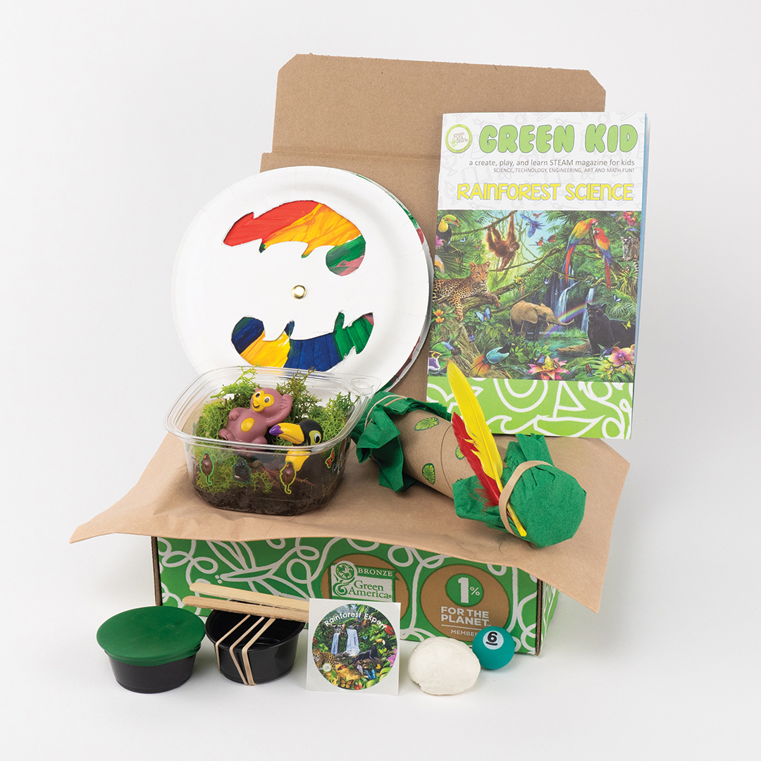 Rainforest Science - Web 4 rainforest science box