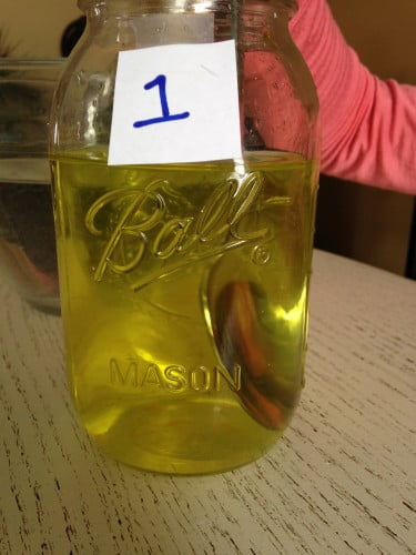 musical water experiment