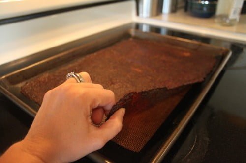 Easy Fruit Leather Recipe