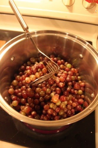 Easy Fruit Leather Recipe