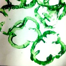 shamrock art