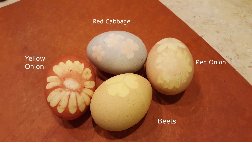 Eggs_1