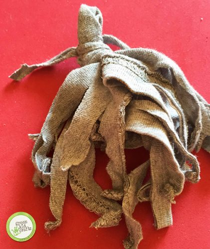 dog and cat toys