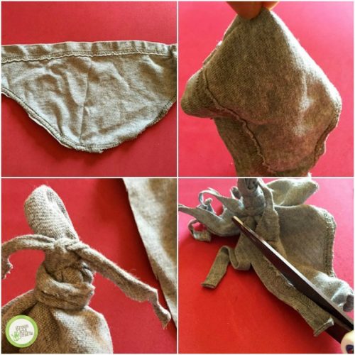 dog and cat toys
