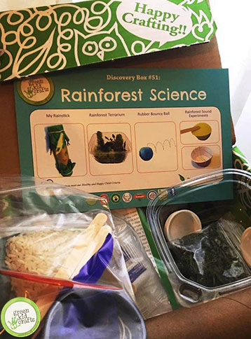 rainforest