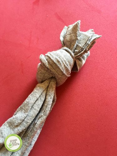 dog and cat toys