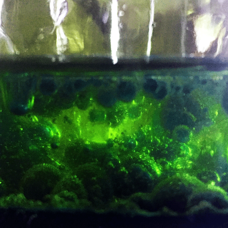 lava in a jar