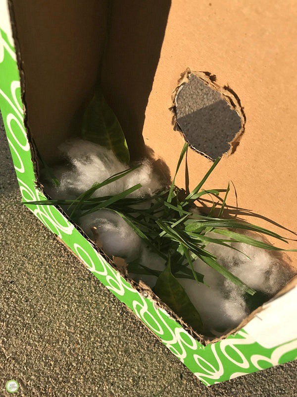 easy birdhouse craft for kids underway
