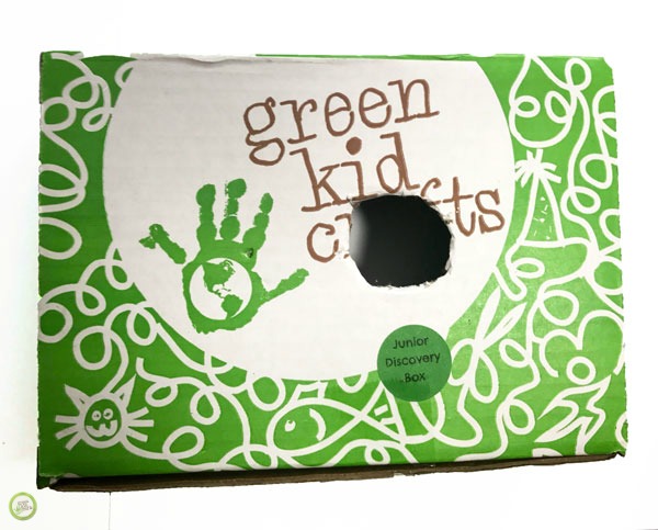 diy birdhouse for kids