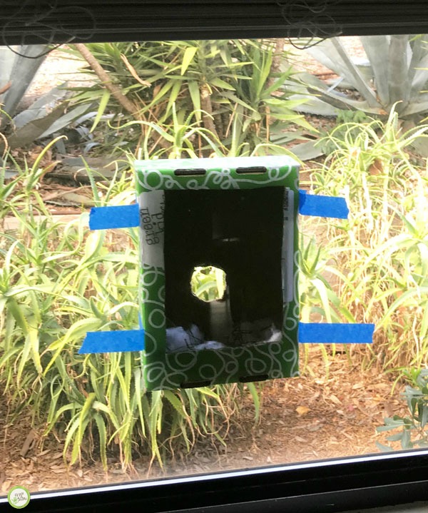 cardboard birdhouse in the wild