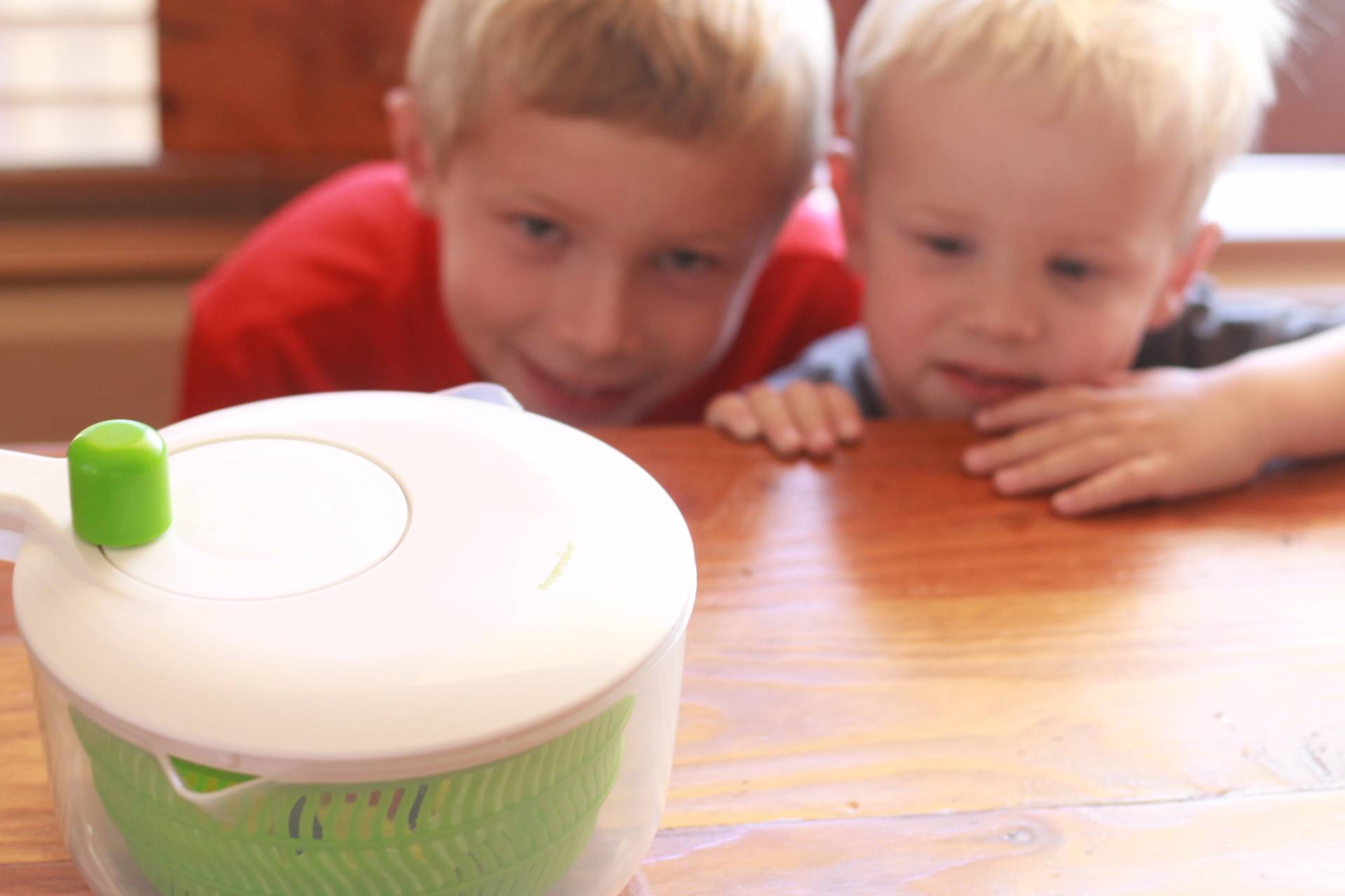 Looking for educational toys, science kits, monthly crafts for kids, monthly subscriptions for kids, a monthly craft box or kids craft subscription? Green Kid Crafts, kids craft subscription and maker of the best subscription boxes, including award-winning arts and craft subscription boxes and best monthly subscription boxes has what you're looking for!