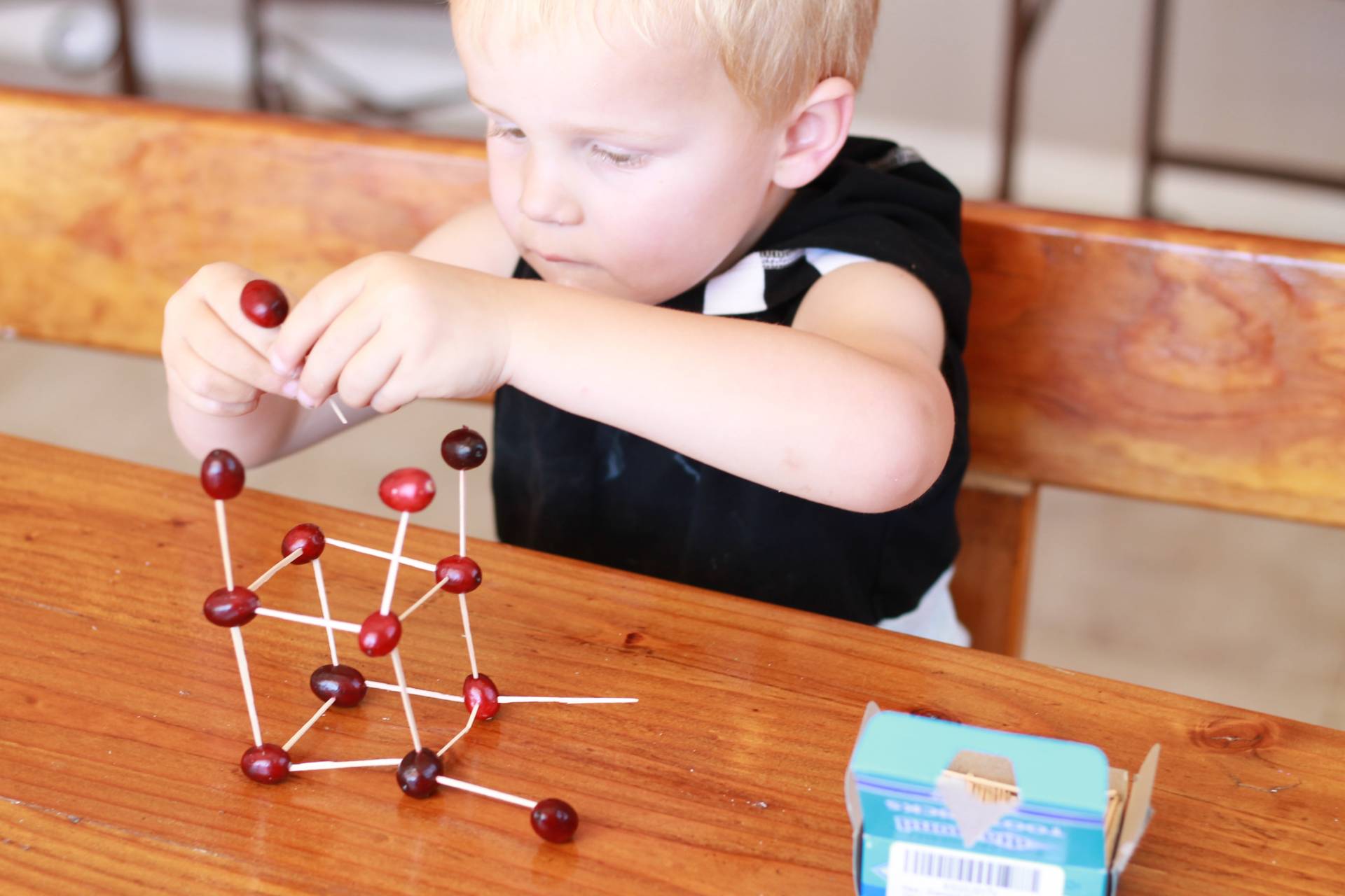 Looking for educational toys, science kits, monthly crafts for kids, monthly subscriptions for kids, a monthly craft box or kids craft subscription? Green Kid Crafts, kids craft subscription and maker of the best subscription boxes, including award-winning arts and craft subscription boxes and best monthly subscription boxes has what you're looking for!