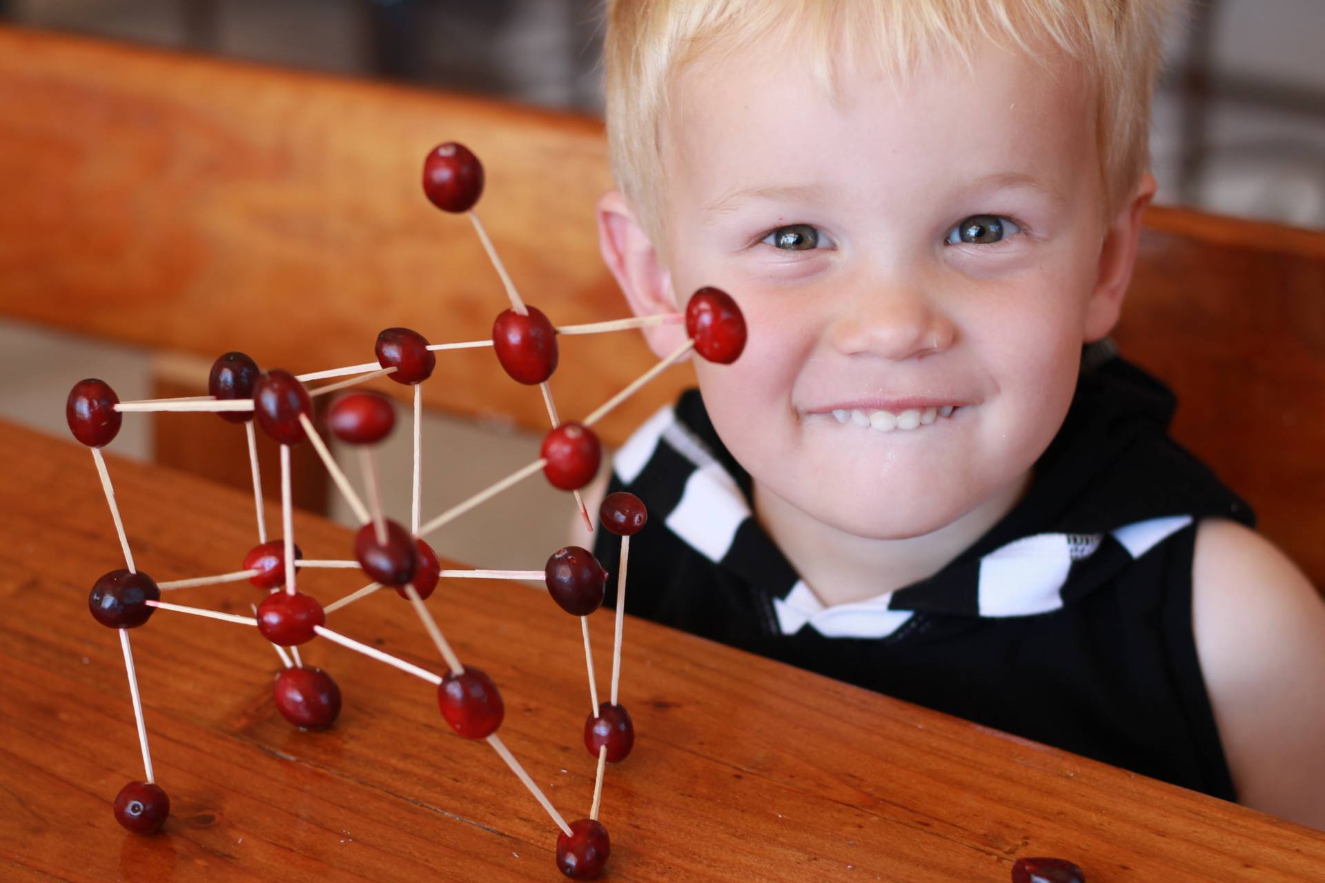 Looking for educational toys, science kits, monthly crafts for kids, monthly subscriptions for kids, a monthly craft box or kids craft subscription? Green Kid Crafts, kids craft subscription and maker of the best subscription boxes, including award-winning arts and craft subscription boxes and best monthly subscription boxes has what you're looking for!