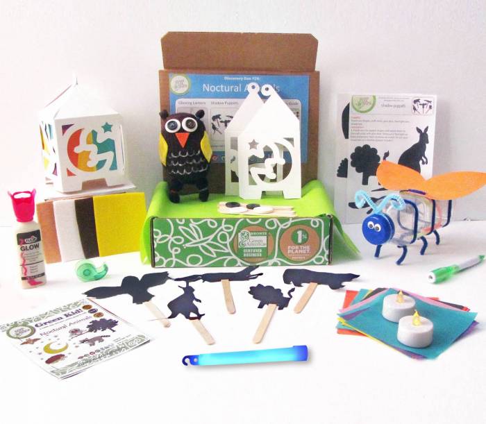 Nocturnal Animals Photo nocturnal animal activities box