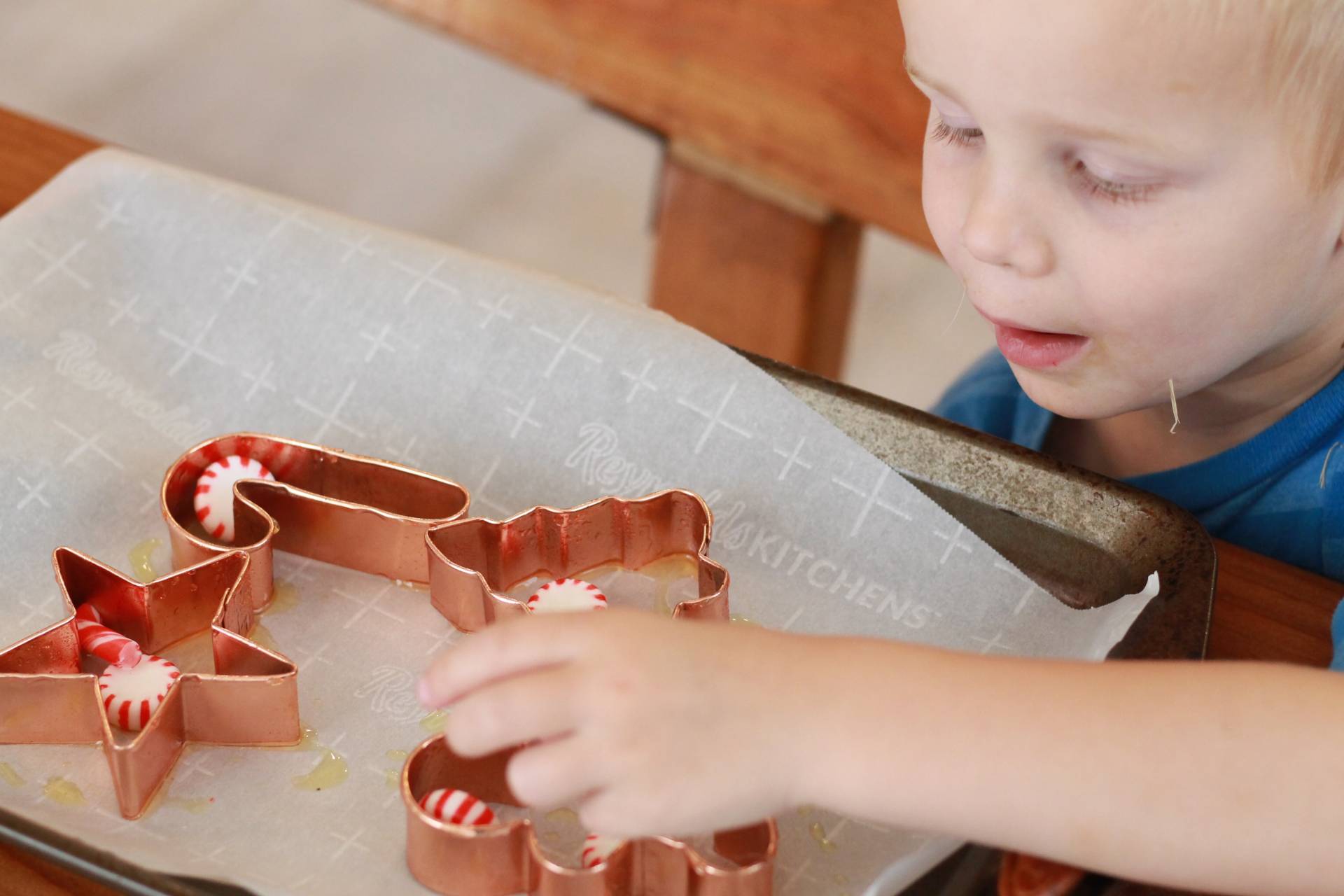 Looking for educational toys, science kits, monthly crafts for kids, monthly subscriptions for kids, a monthly craft box or kids craft subscription? Green Kid Crafts, kids craft subscription and maker of the best subscription boxes, including award-winning arts and craft subscription boxes and best monthly subscription boxes has what you're looking for!