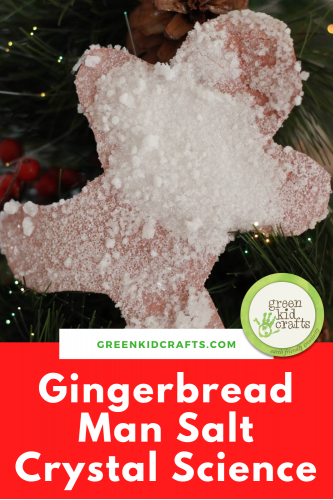 gingerbread man salt crystal science